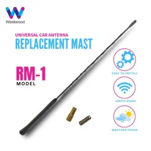 AM/FM Antenna